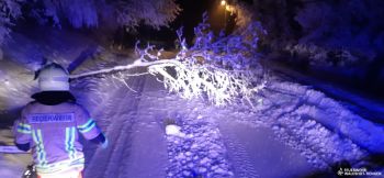 20210115_025330.jpg