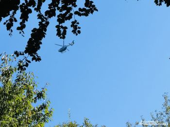 IMG_2721.jpg