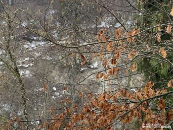 IMG_0900.jpg