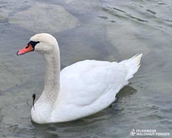 IMG_8835.jpg